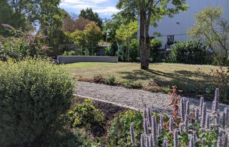 Eine ‚Parkanlage‘ die Außenflächen von der Kantine aufteilt.