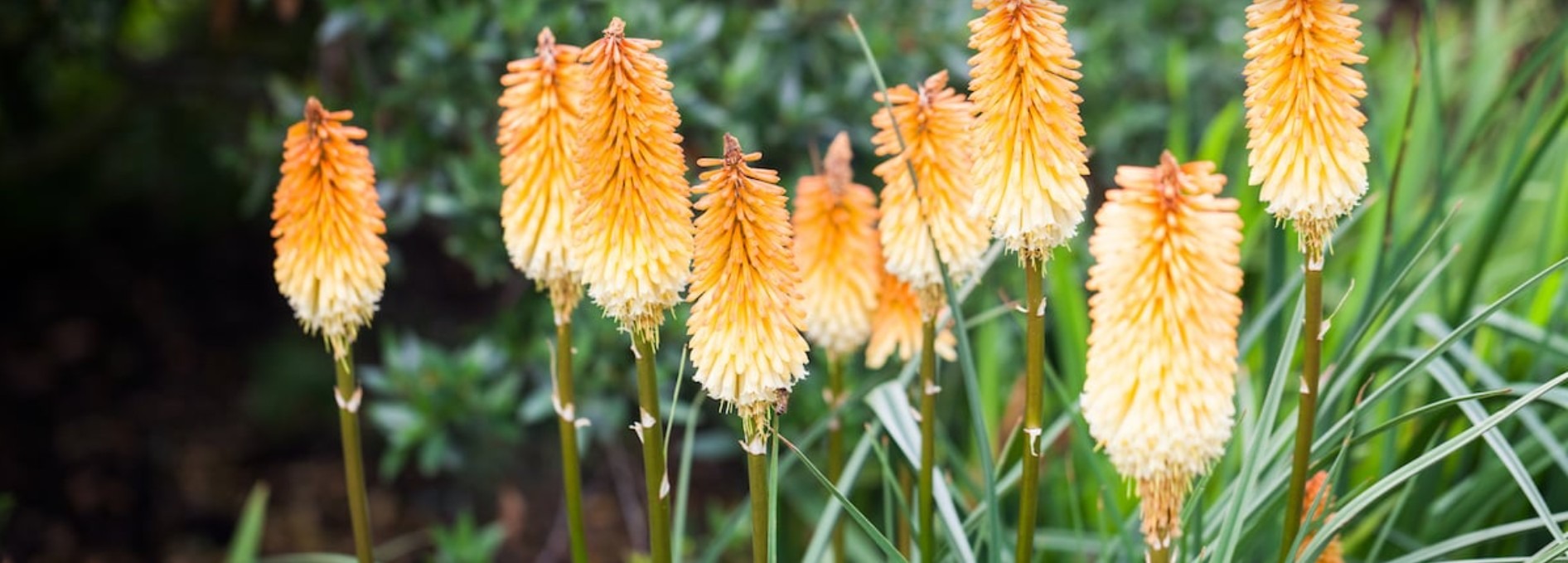 landschaftsarchitektin Anna Schraa Germering München