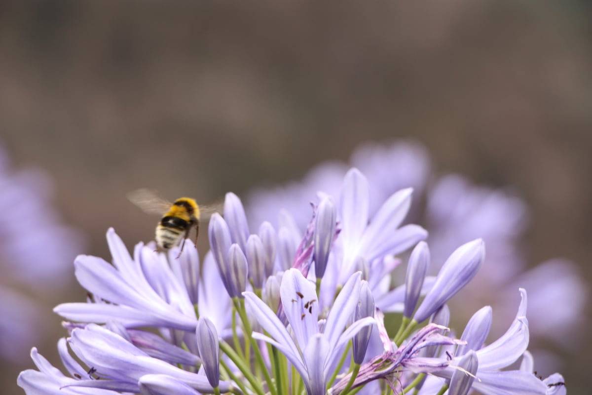 Beschriftungsbereich